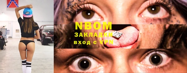 индика Богородицк