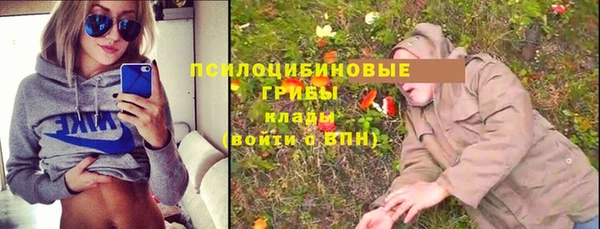 первитин Бородино