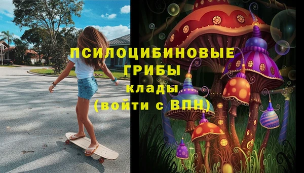 прущие грибы Бугульма