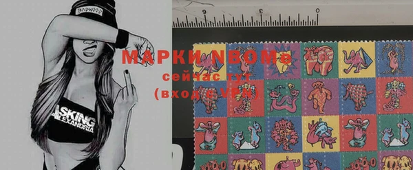 прущие грибы Бугульма