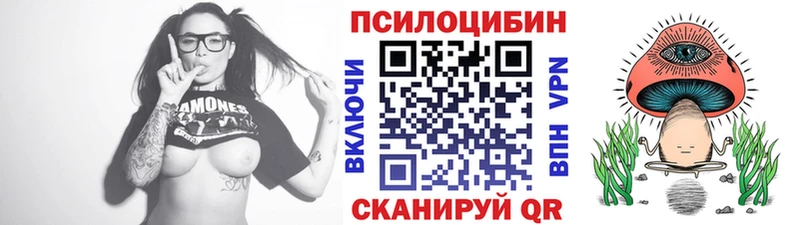 Галлюциногенные грибы Psilocybine cubensis  Губкинский 